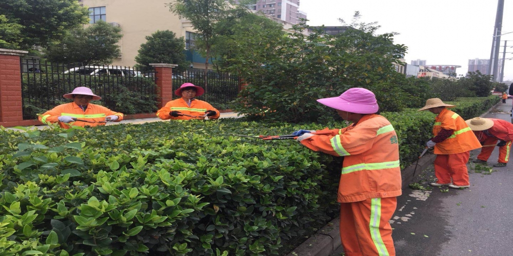 新站區(qū)道路清掃保潔、綠化管養(yǎng)項目