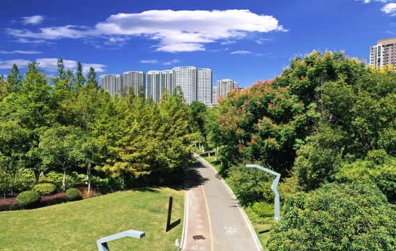 合肥廬陽區(qū)廬州公園一期綠化景觀養(yǎng)護(hù)